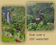 Book Online: Akaka Falls, Big Island, HI
